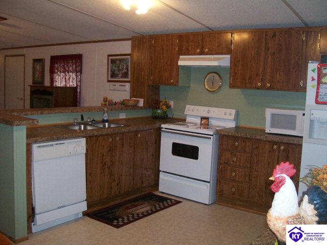 Listing Picture 655 Deckard School Road Rineyville, KY 40162 MLS HK9998112
