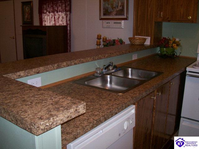 Listing Picture 655 Deckard School Road Rineyville, KY 40162 MLS HK9998112