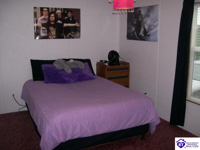 Listing Picture 655 Deckard School Road Rineyville, KY 40162 MLS HK9998112