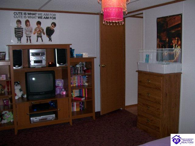 Listing Picture 655 Deckard School Road Rineyville, KY 40162 MLS HK9998112