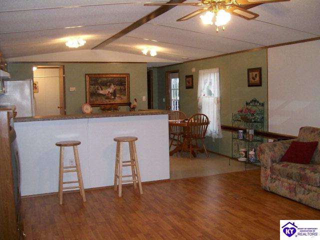 Listing Picture 655 Deckard School Road Rineyville, KY 40162 MLS HK9998112