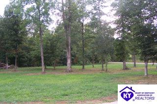 Listing Picture 3445 E Gap Hill Road Cub Run, KY 42765 MLS HK9997597