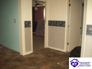 Listing Picture 270 Newton Lane Campbellsville, KY 42718 MLS HK9997997