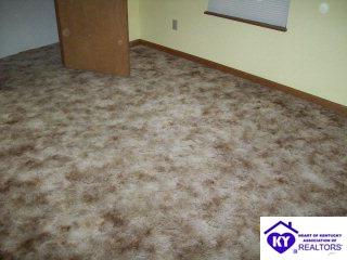 Listing Picture 1118 Greensburg Road Hodgenville, KY 42748 MLS HK9997825