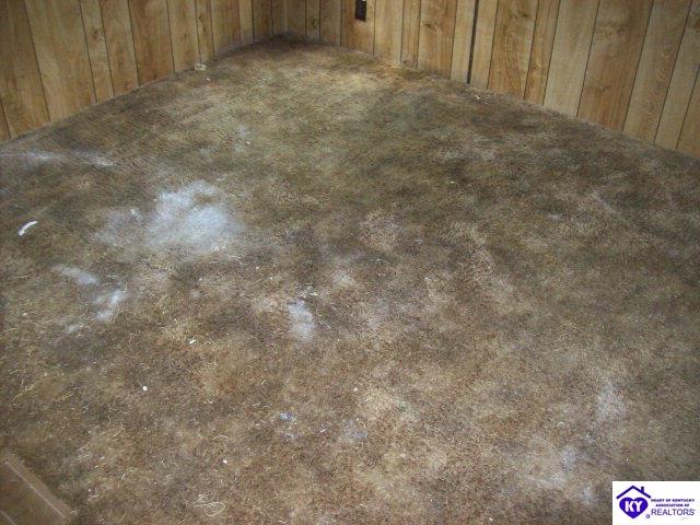 Listing Picture 379 Blackjack Road Radcliff, KY 40160 MLS HK9998165