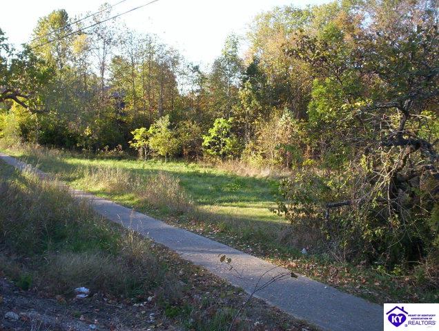 Listing Picture 11631 S Preston Highway Lebanon Junction, KY 40150 MLS HK9998356
