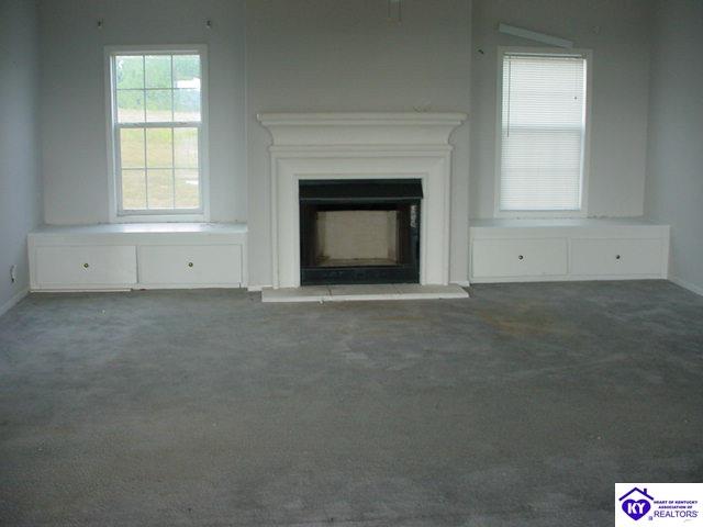 Listing Picture 86 Bed Rock Lane Rineyville, KY 40162 MLS HK9998243