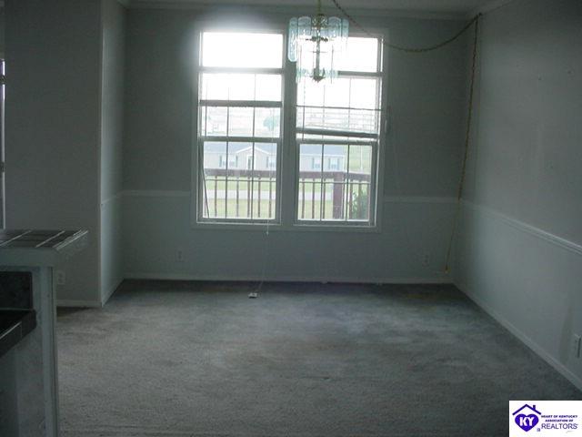 Listing Picture 86 Bed Rock Lane Rineyville, KY 40162 MLS HK9998243