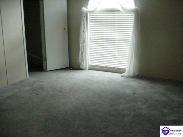 Listing Picture 86 Bed Rock Lane Rineyville, KY 40162 MLS HK9998243