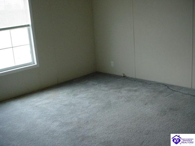 Listing Picture 86 Bed Rock Lane Rineyville, KY 40162 MLS HK9998243