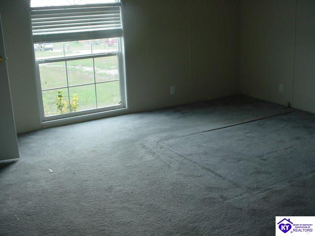 Listing Picture 86 Bed Rock Lane Rineyville, KY 40162 MLS HK9998243