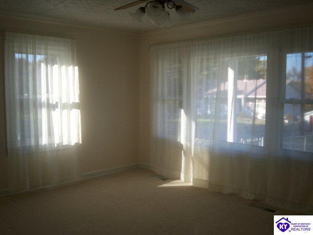 Listing Picture 708 Hardin Street Vine Grove, KY 40175 MLS HK9998468