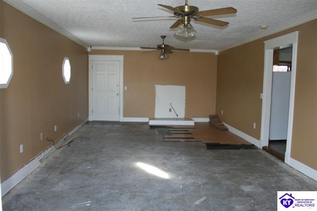 Listing Picture 167 Christerson Lane Campbellsville, KY 42718 MLS HK9998830