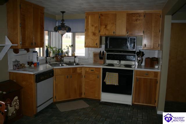 Listing Picture 1104 Stone Quarry Road Campbellsville, KY 42718 MLS HK9998712