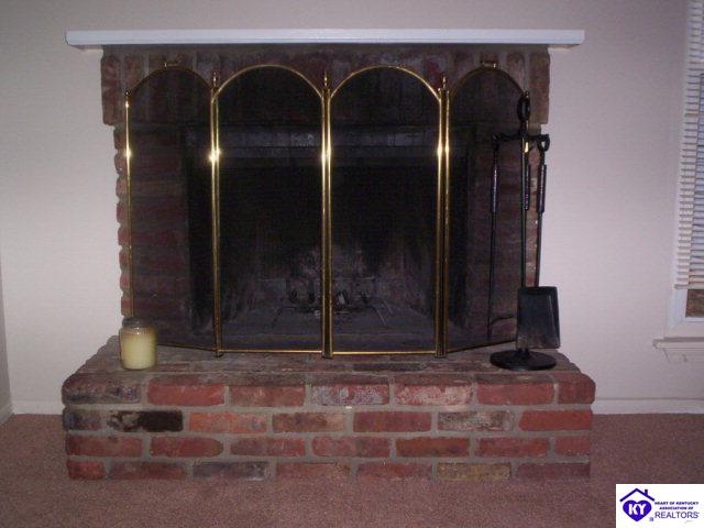 Listing Picture 3728 Charter Oaks Drive Louisville, KY 40241 MLS HK9998791