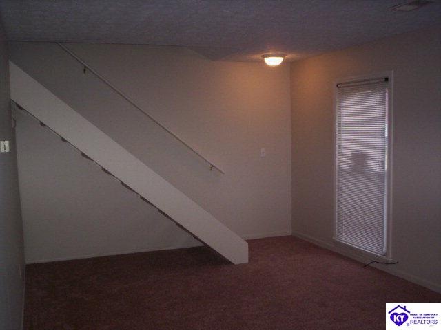 Listing Picture 3728 Charter Oaks Drive Louisville, KY 40241 MLS HK9998791