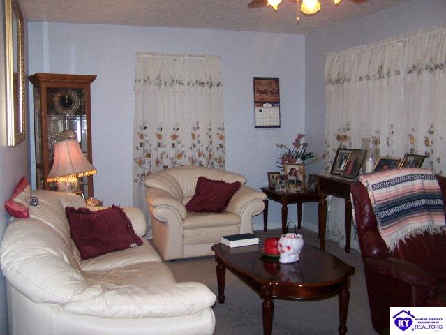 Listing Picture 63 Elliott Avenue Bonnieville, KY 42713 MLS HK9998435