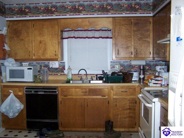 Listing Picture 63 Elliott Avenue Bonnieville, KY 42713 MLS HK9998435