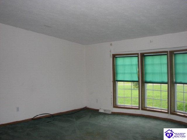 Listing Picture 30 Silent Court Vine Grove, KY 40175 MLS HK9998939