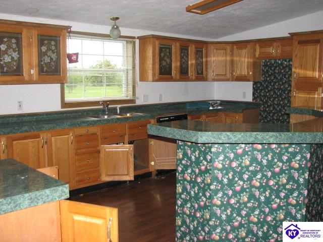 Listing Picture 30 Silent Court Vine Grove, KY 40175 MLS HK9998939