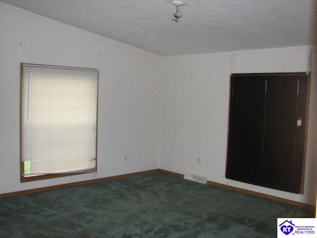 Listing Picture 30 Silent Court Vine Grove, KY 40175 MLS HK9998939