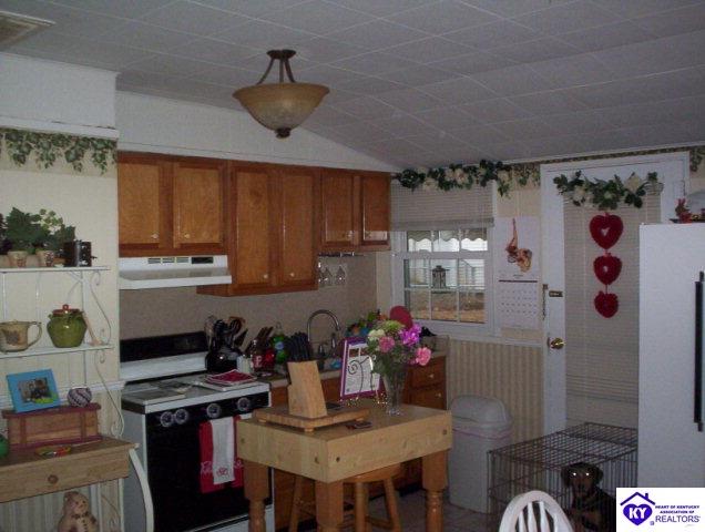 Listing Picture 1105 Old State Road Brandenburg, KY 40108 MLS HK9999294