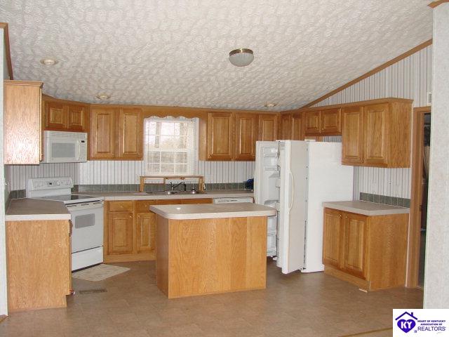 Listing Picture 2227 Plouvier Road Hodgenville, KY 42748 MLS HK9999503