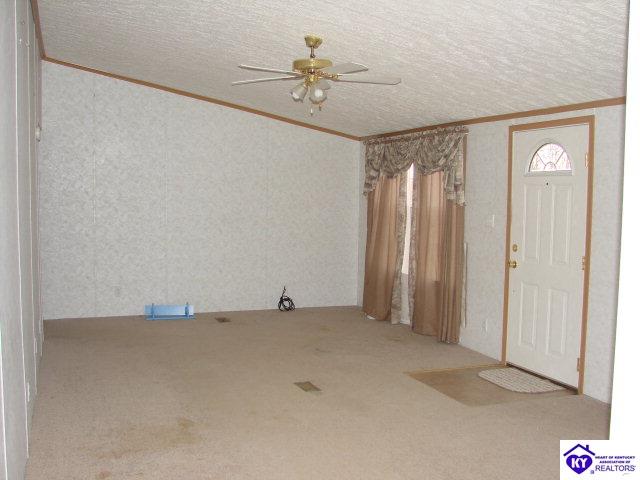 Listing Picture 2227 Plouvier Road Hodgenville, KY 42748 MLS HK9999503