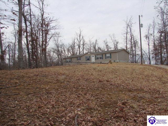 Listing Picture 2227 Plouvier Road Hodgenville, KY 42748 MLS HK9999503