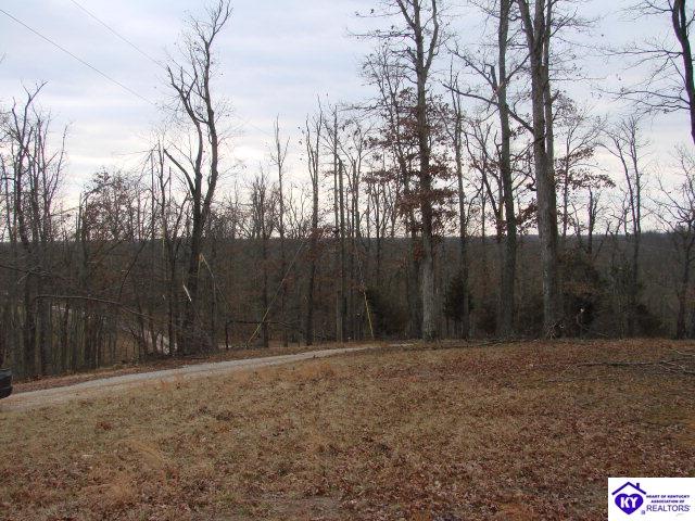 Listing Picture 2227 Plouvier Road Hodgenville, KY 42748 MLS HK9999503