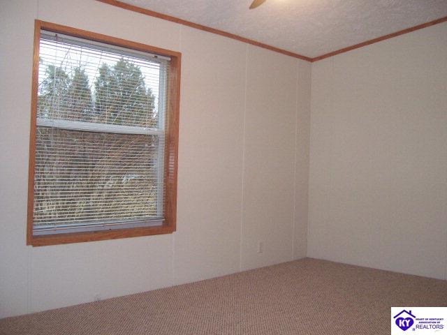 Listing Picture 164 Melissa Drive Ekron, KY 40117 MLS HK9999345