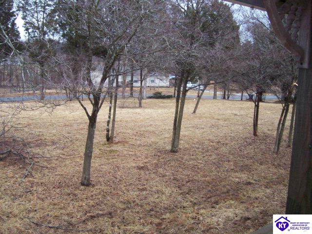 Listing Picture 164 Melissa Drive Ekron, KY 40117 MLS HK9999345