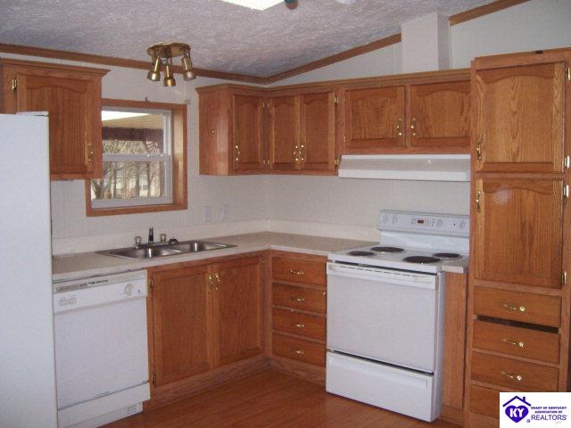 Listing Picture 164 Melissa Drive Ekron, KY 40117 MLS HK9999345