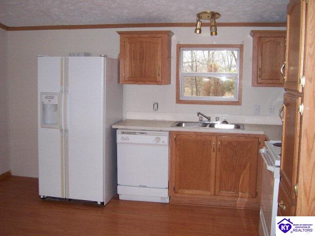 Listing Picture 164 Melissa Drive Ekron, KY 40117 MLS HK9999345