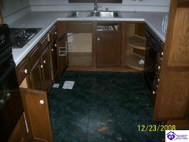 Listing Picture 111 Moon Avenue Leitchfield, KY 42754 MLS HK9999276