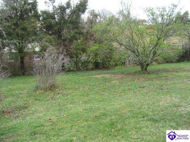 Listing Picture 1143 Evelyn Drive Radcliff, KY 40160 MLS HK9999427