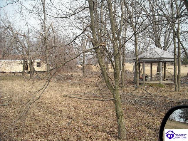 Listing Picture 168 Melton Avenue Elizabethtown, KY 42701 MLS HK9999663