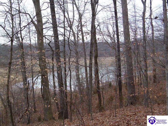 Listing Picture 698 Long Fall Road Cub Run, KY 42729 MLS HK9999283