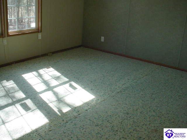 Listing Picture 810 Ganes Hill Road Other, KY 42717 MLS HK9999746