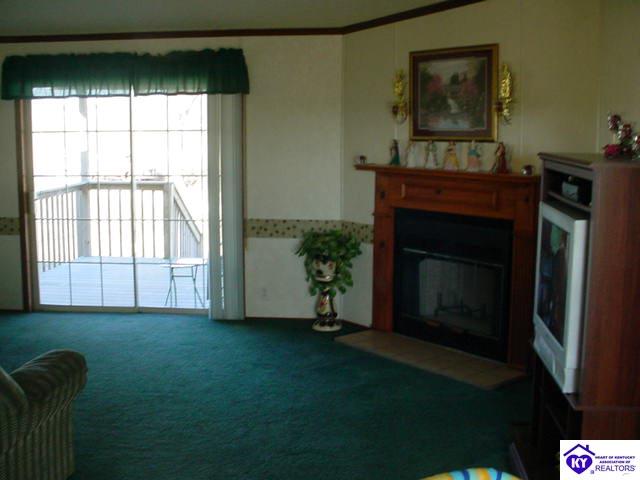 Listing Picture 455 Warren Court Vine Grove, KY 40175 MLS HK9999997