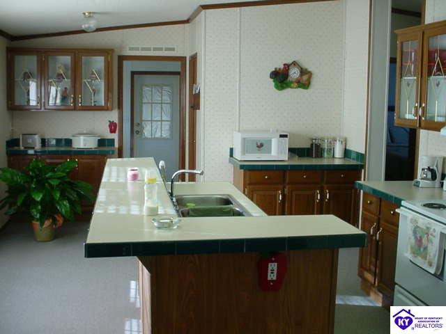 Listing Picture 455 Warren Court Vine Grove, KY 40175 MLS HK9999997