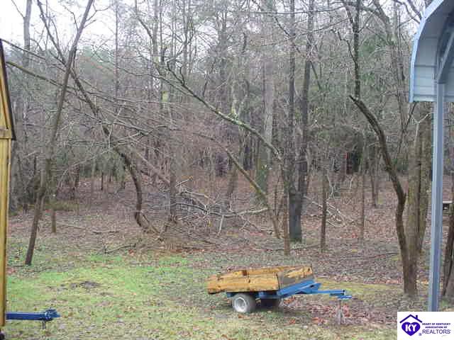 Listing Picture 154 Cedar Hill Drive Elizabethtown, KY 42701 MLS HK9999944