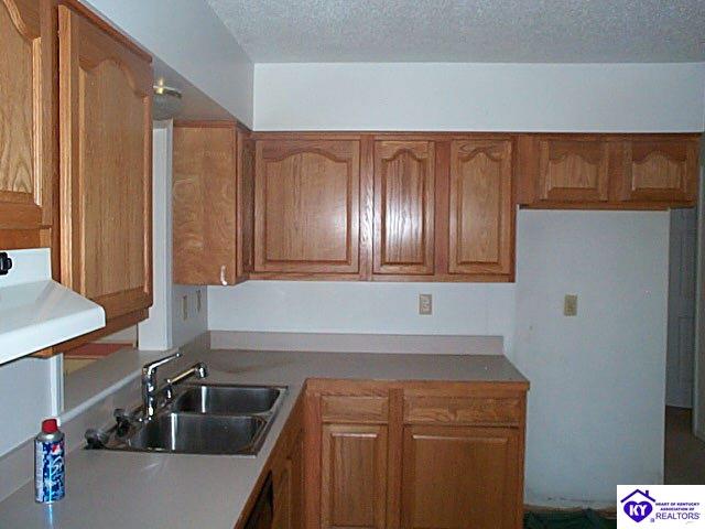 Listing Picture 2920 New Highland Church Road Brandenburg, KY 40108 MLS HK9999897