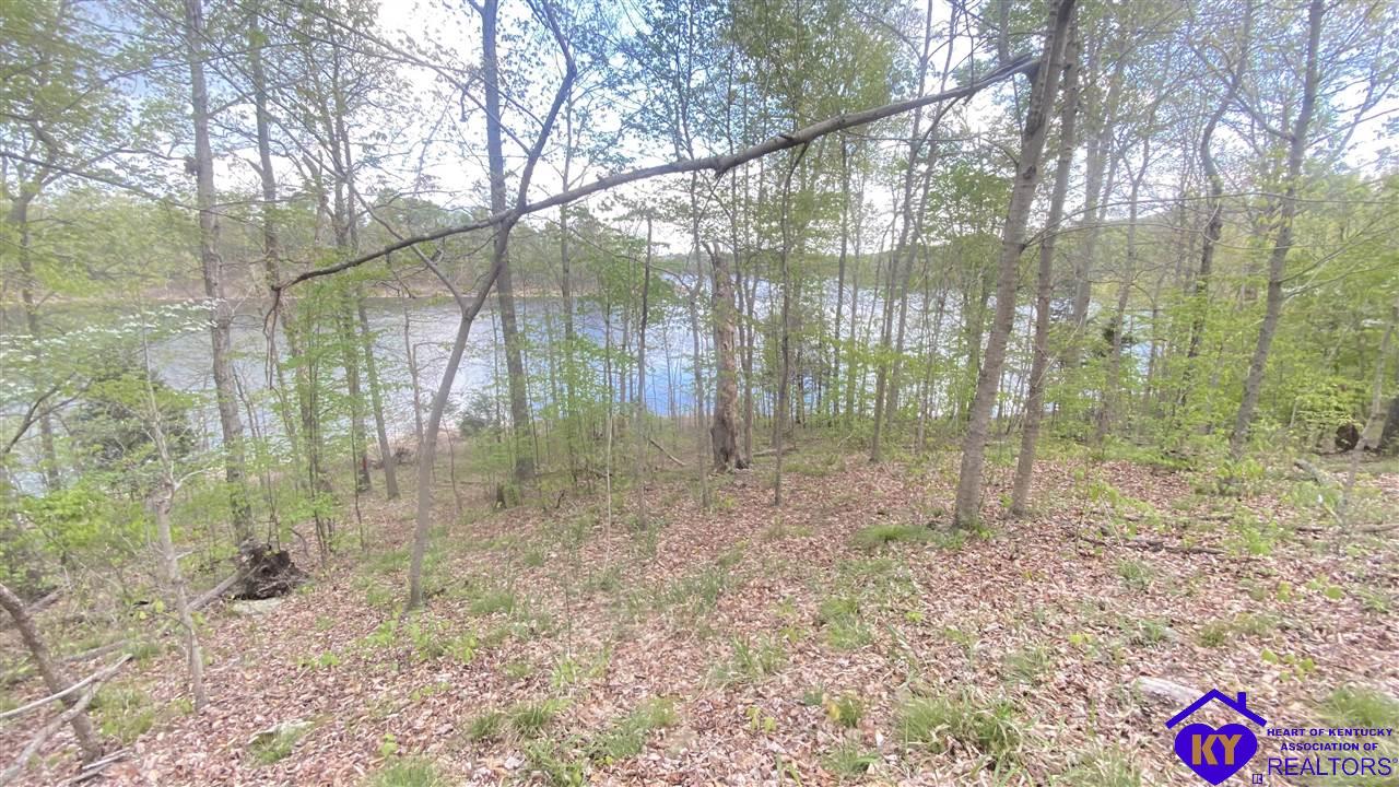370 Cave Heights Drive, Falls Of Rough, KY 40119