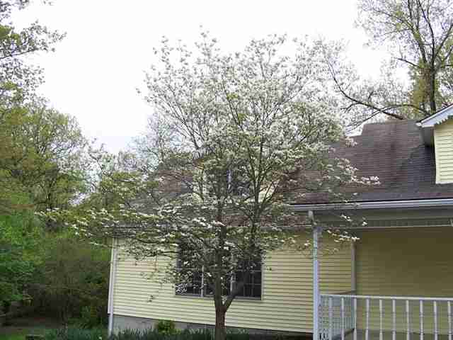 Listing Picture 5165 Old Mill Road Brandenburg, KY 40108 MLS HK10009865