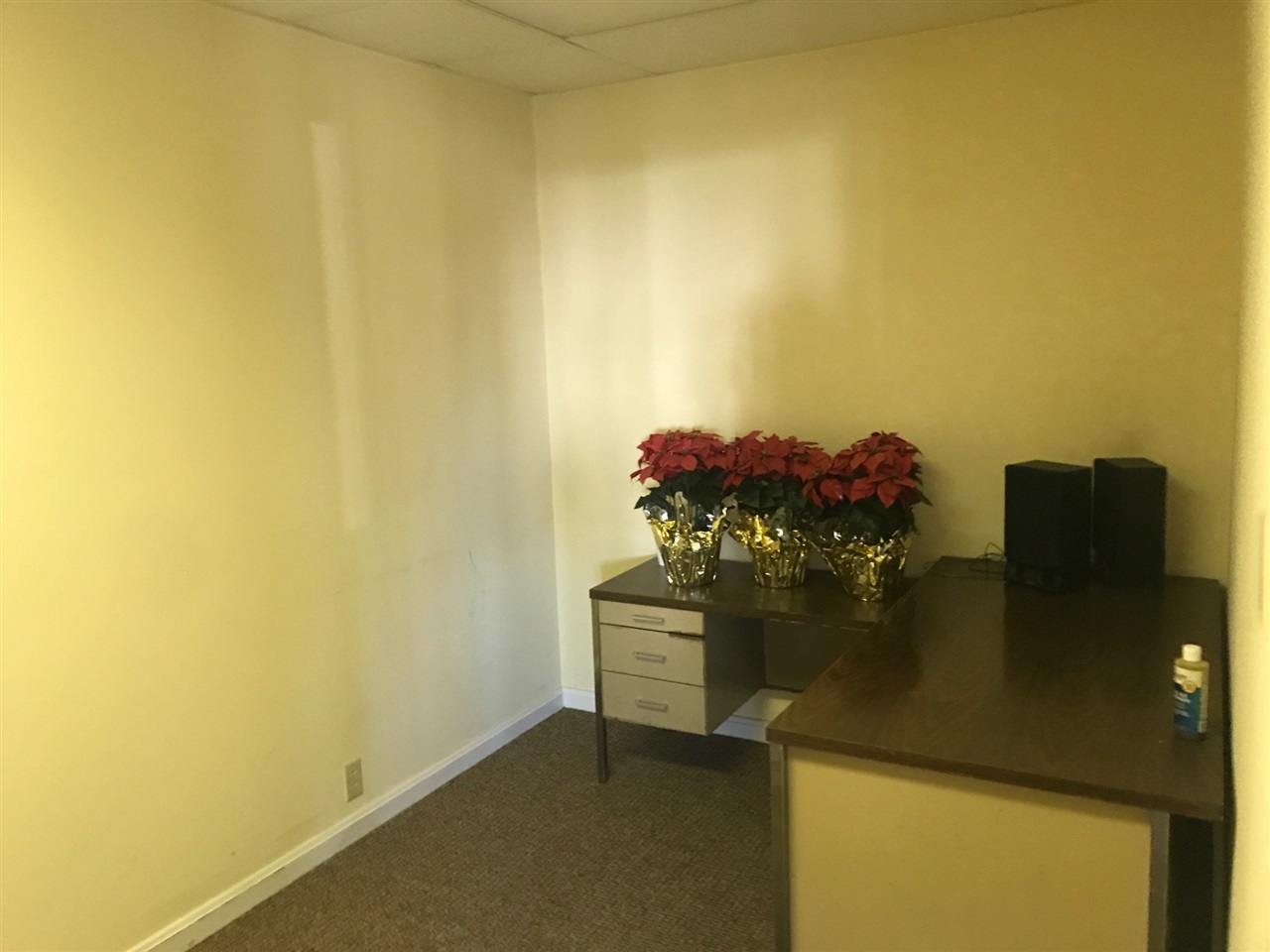 Listing Picture 222 E First Street Campbellsville, KY 42718 MLS HK10047459