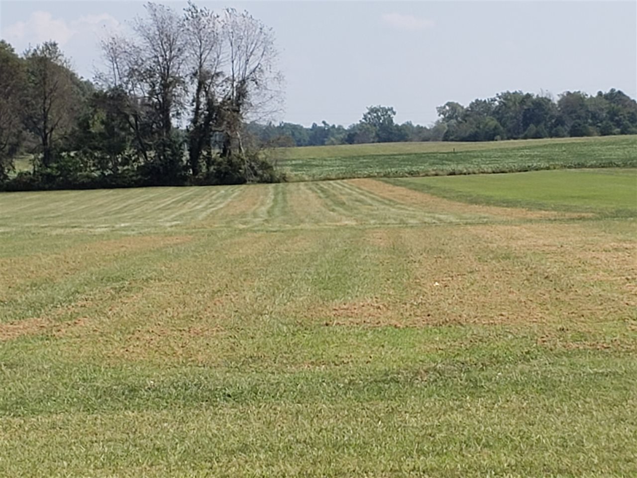 Listing Picture 2046 Lincoln Farm Road Hodgenville, KY 42748 MLS HK10049834