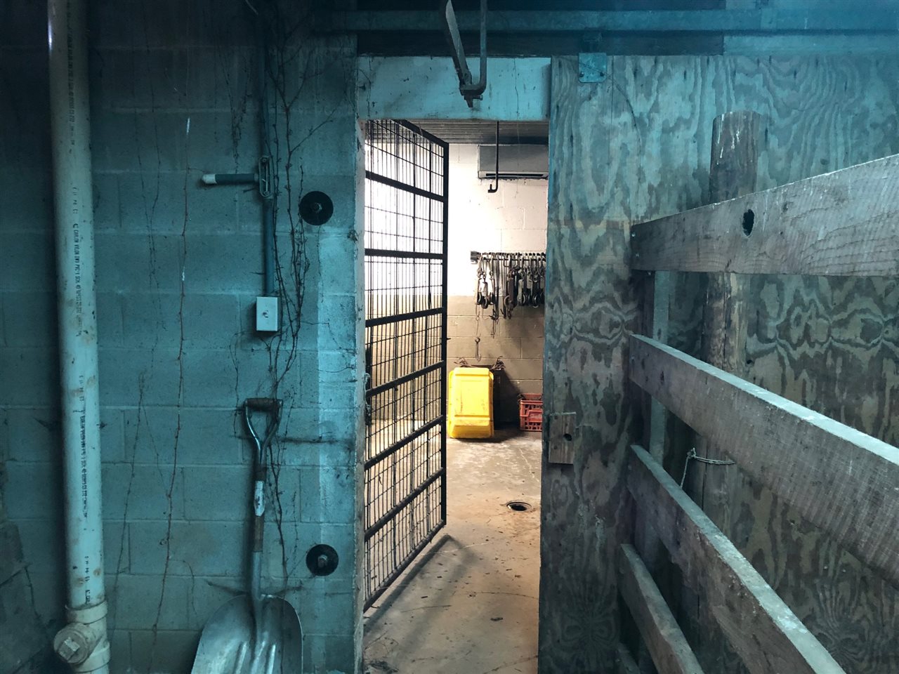 Listing Picture 64 First Union Church Road Glendale, KY 42740 MLS HK10052195