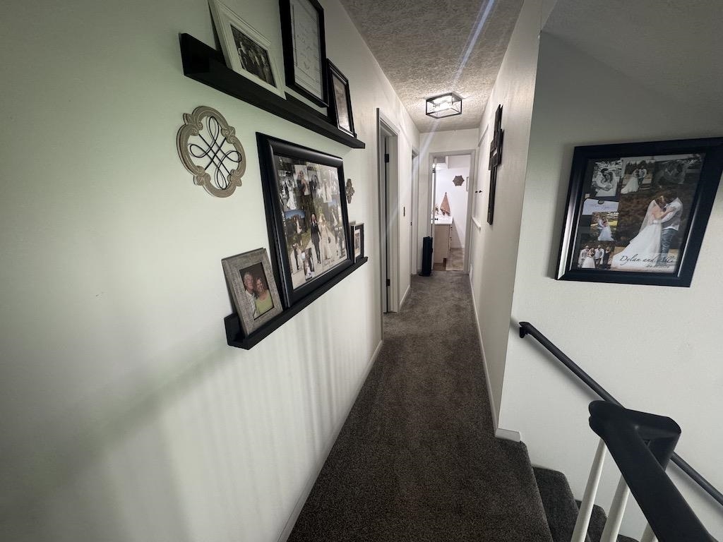 702 Cedarberry Court