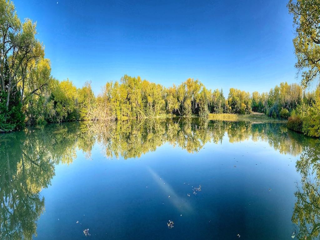 8515 W Foothill Road